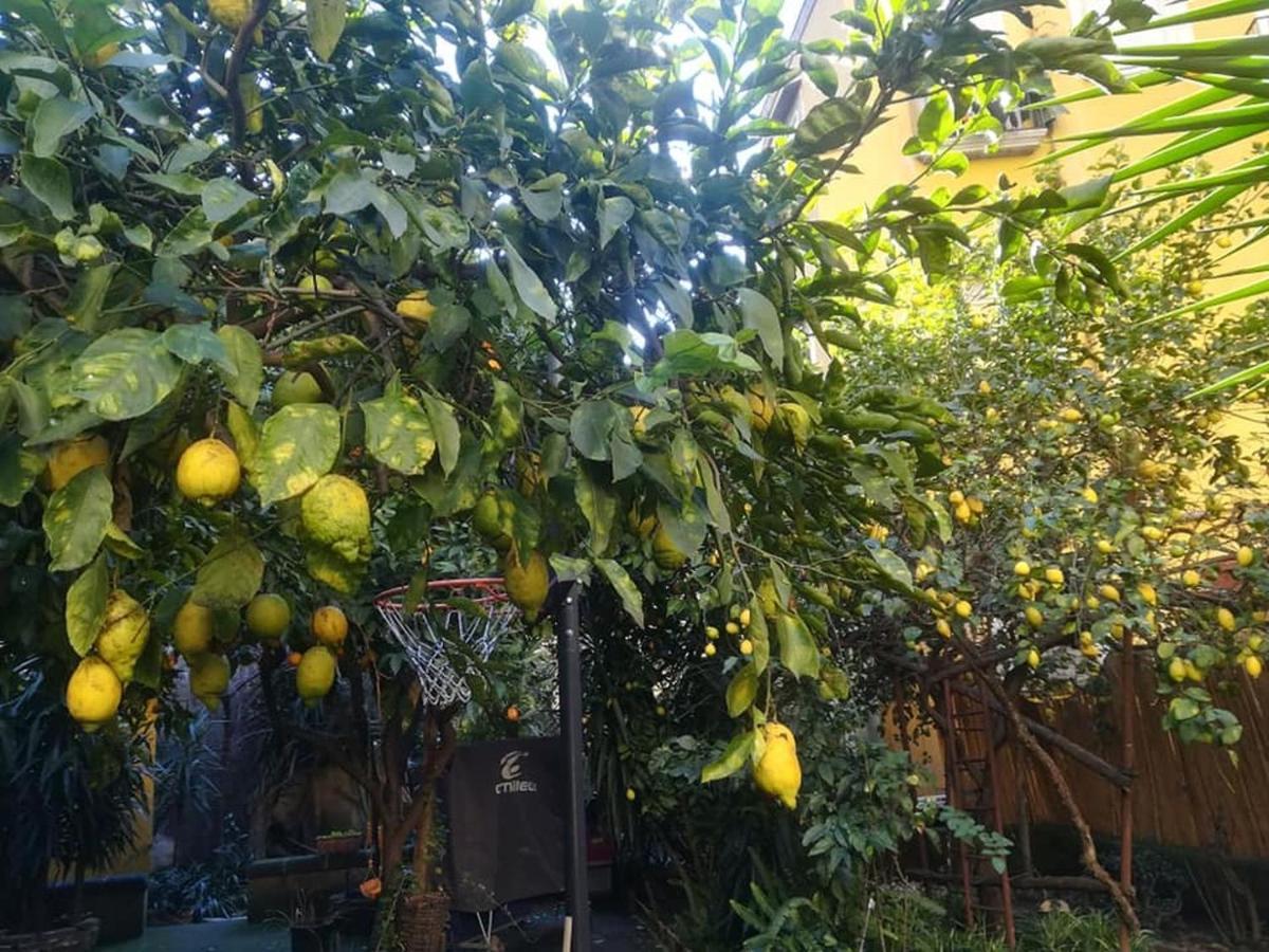 La Limonaia Di Chiaia Apartment Naples Luaran gambar